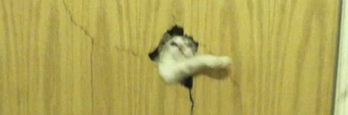 ayyjsn's profile banner image