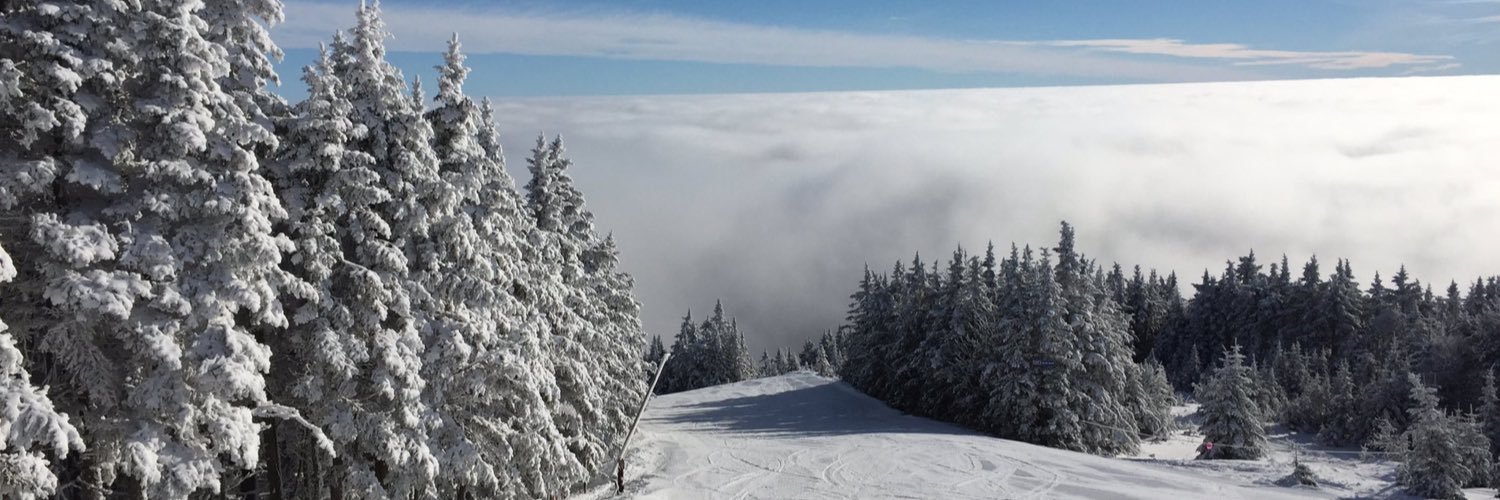 SGS_Y11Ski's profile banner image