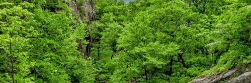 vanessa vasquez banner