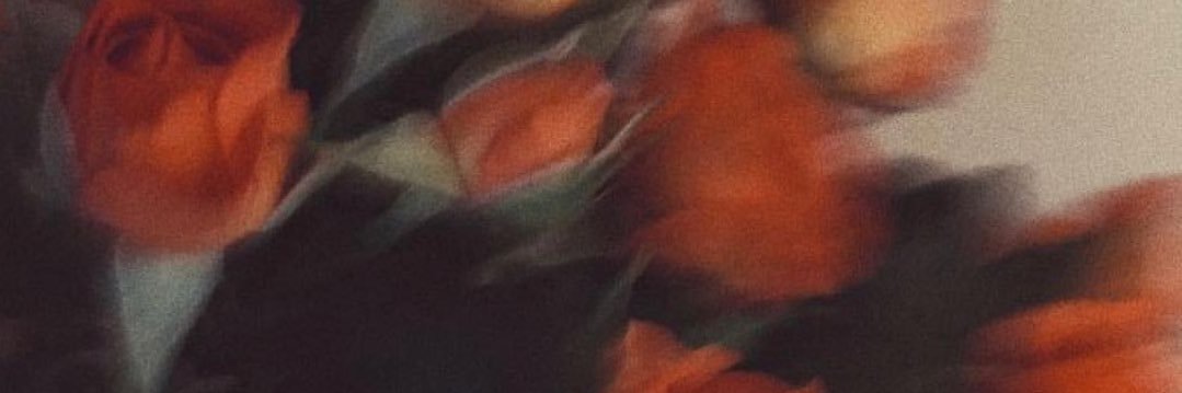 finallyamelia's profile banner image