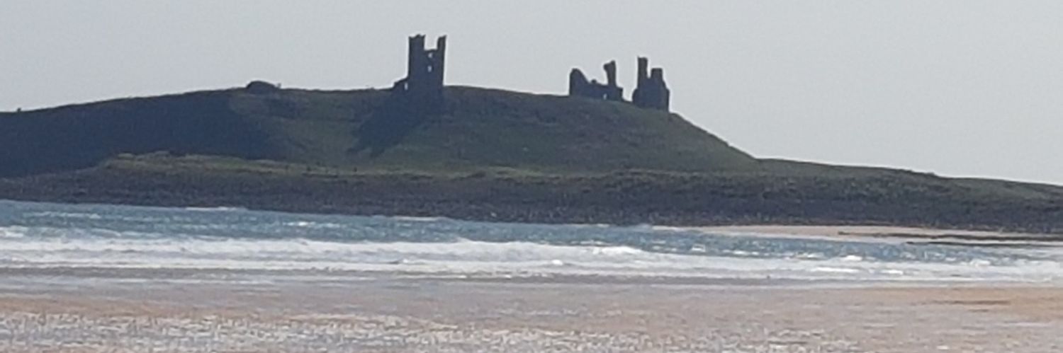 Anne-Theresa Lawrie banner