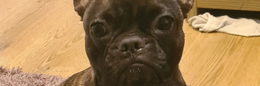 MashDWhite's profile banner image