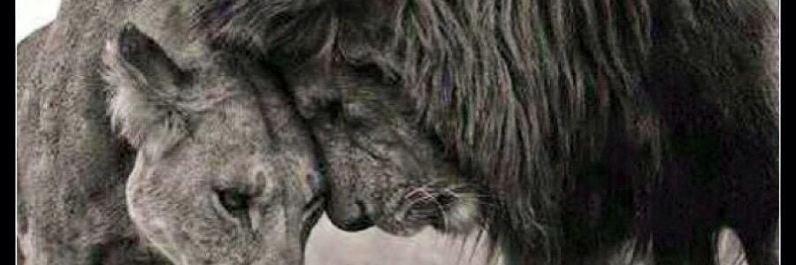 tiffany_cloud's profile banner image