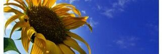 denisevargasdf's profile banner image