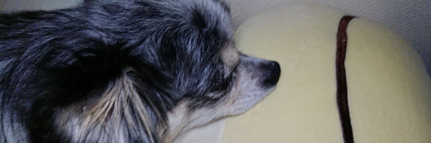 daiyagray's profile banner image
