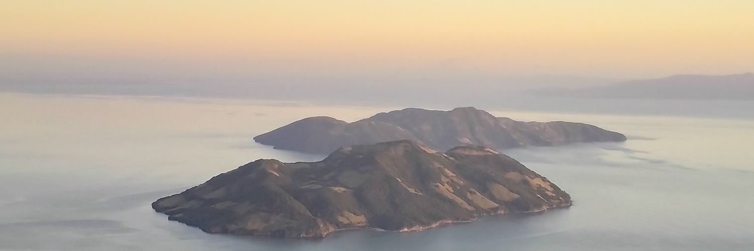 lillyalberto's profile banner image