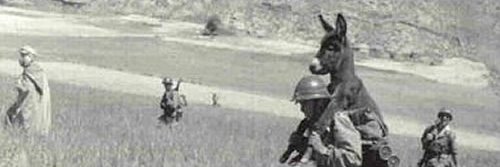 Nurlan Aliyev banner