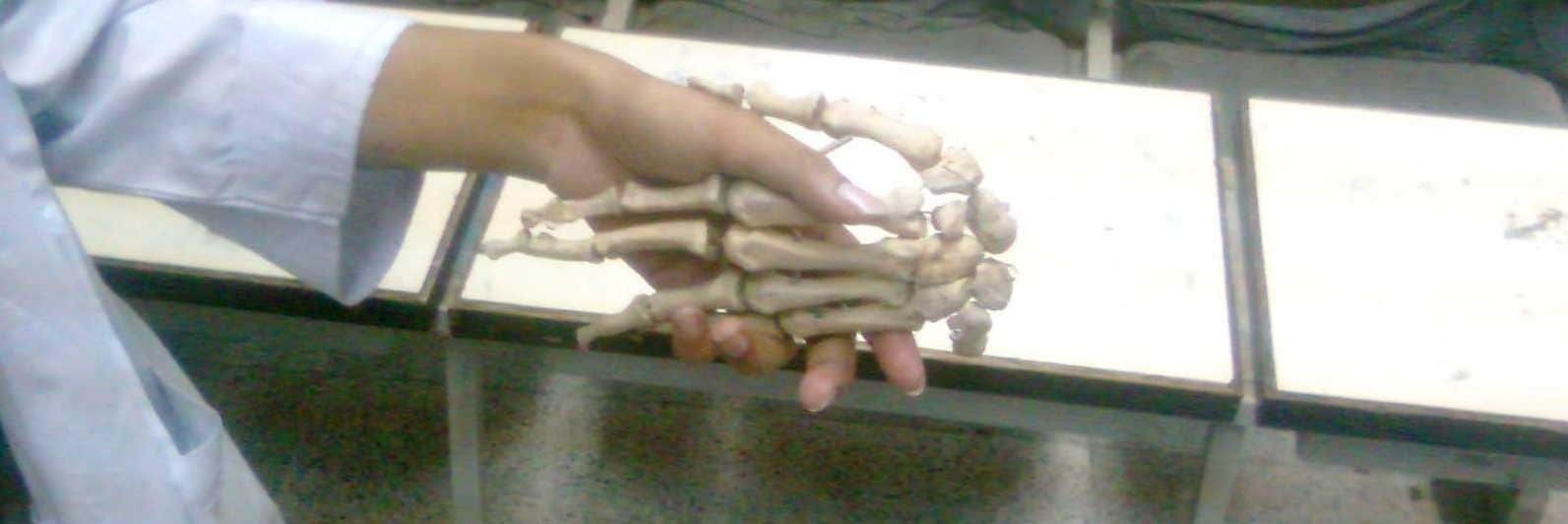 Sadia A 🇵🇰 banner