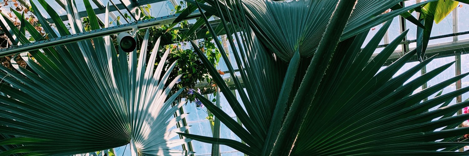 rachmaciag's profile banner image