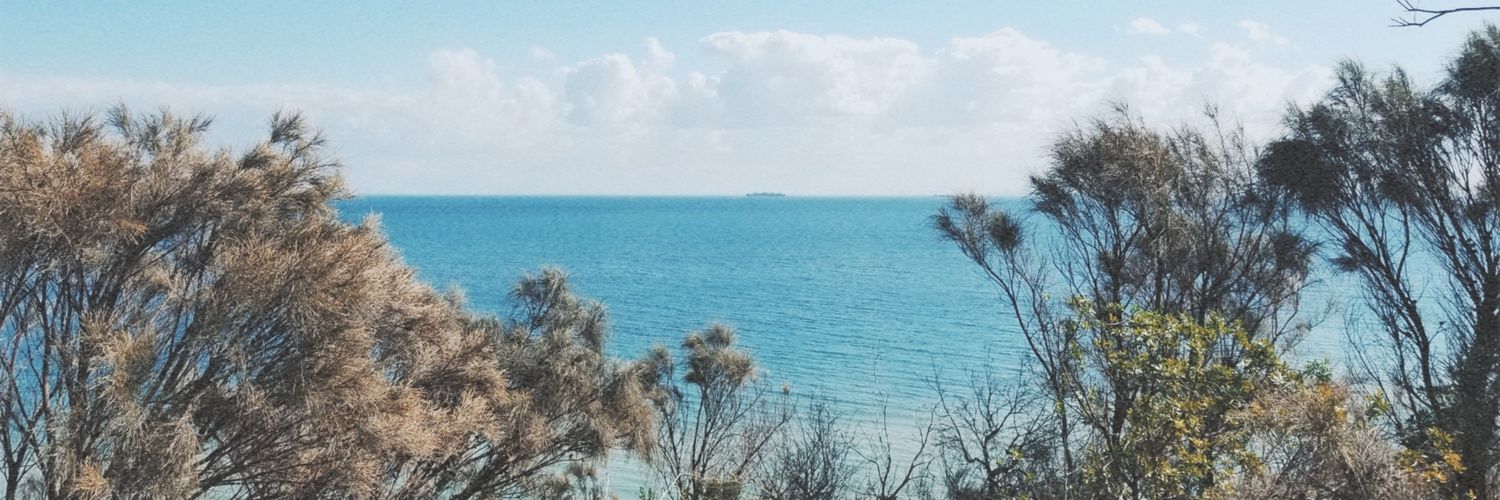 holonfronch's profile banner image