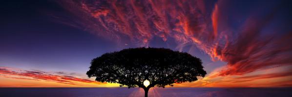 Robinson955's profile banner image
