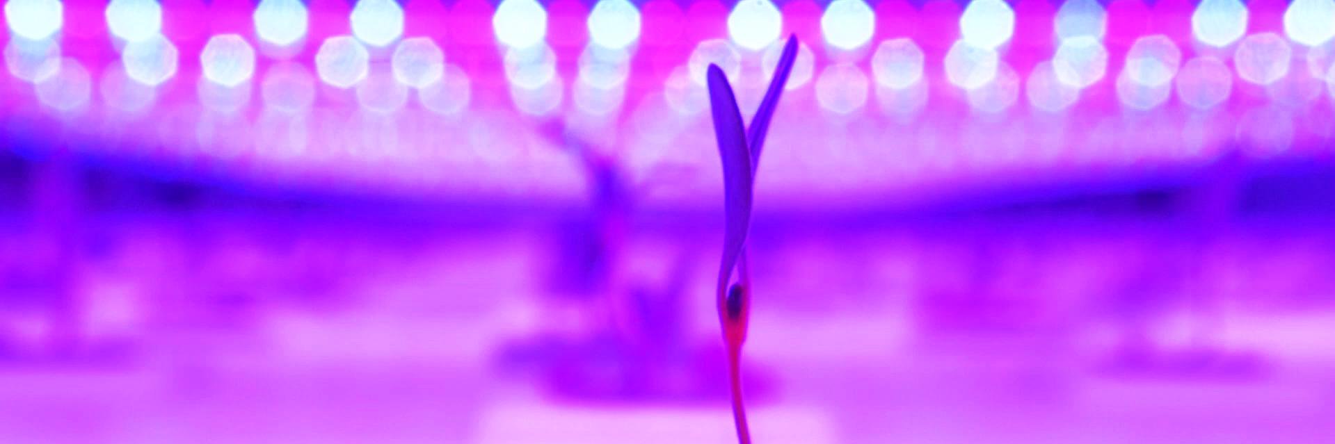 nutraponics's profile banner image