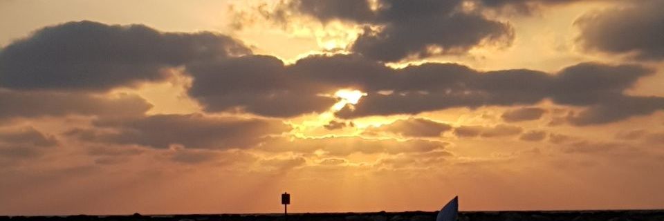 d0reets's profile banner image