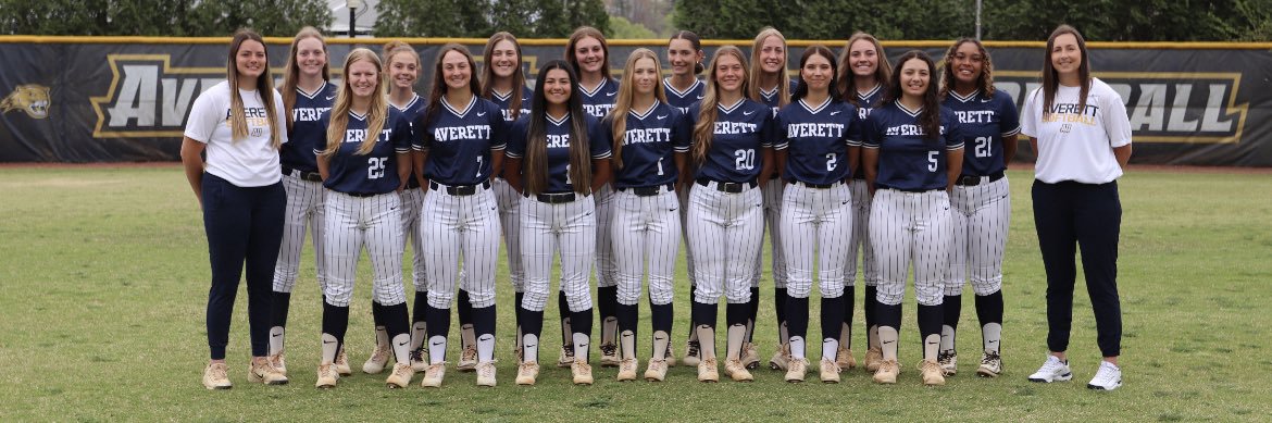 AverettSoftball's profile banner image