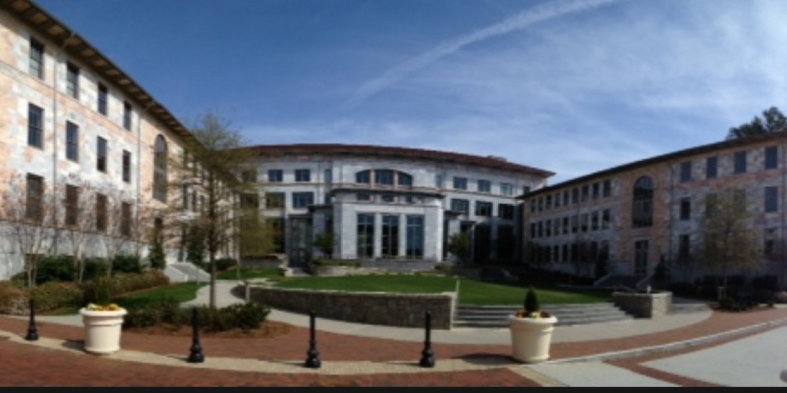 Emory HSO banner