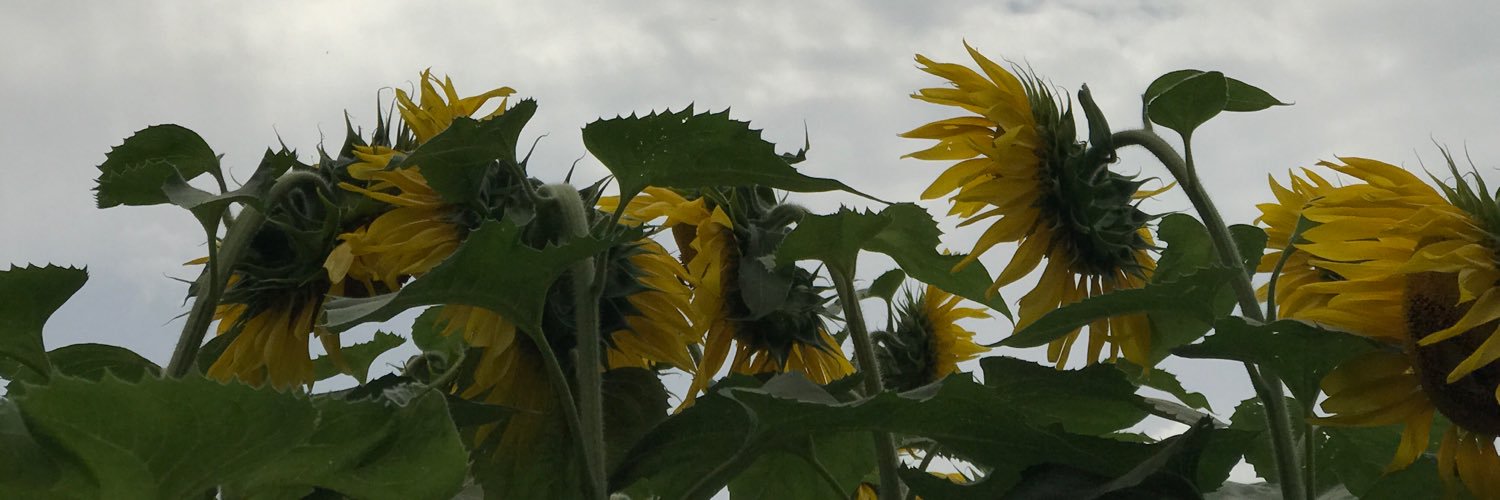 mommalkt's profile banner image