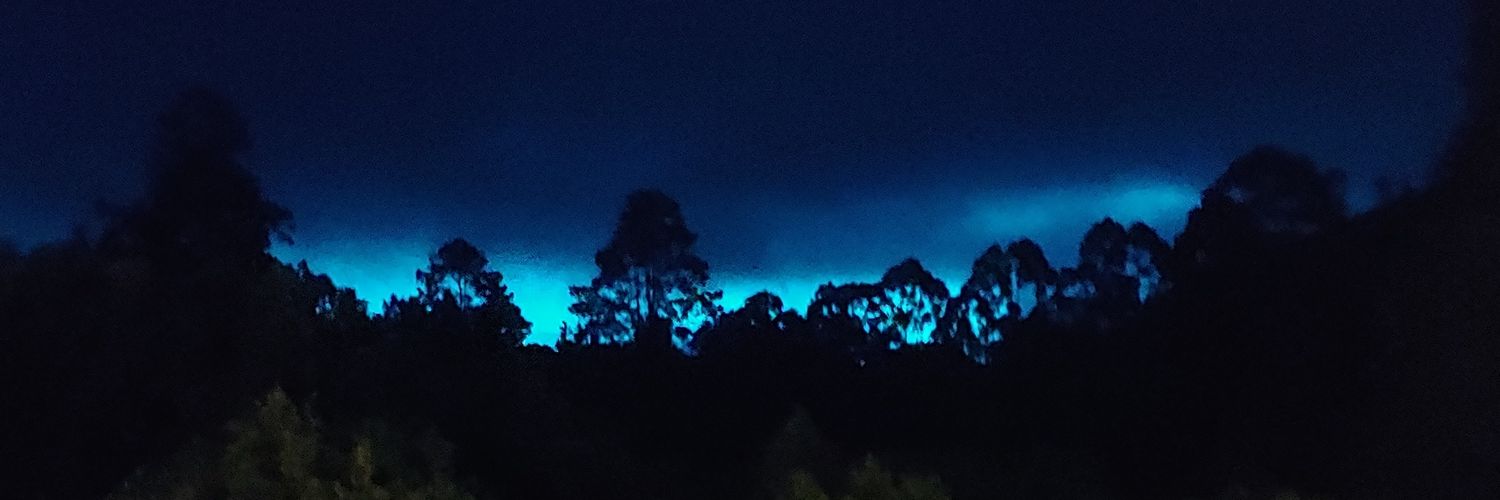 Roberto Maradiaga G. banner