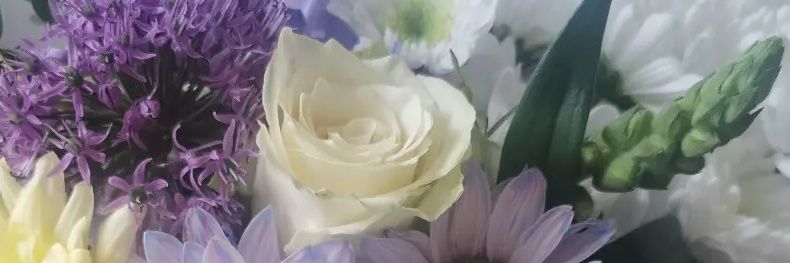 gemmalc_x's profile banner image