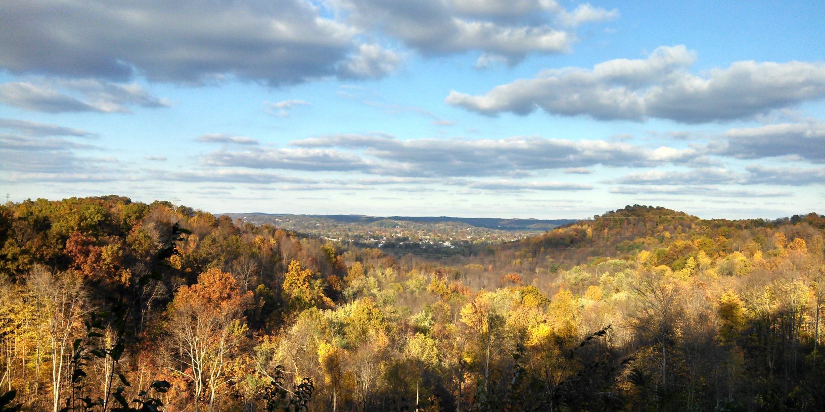 Jake Bornhorst banner