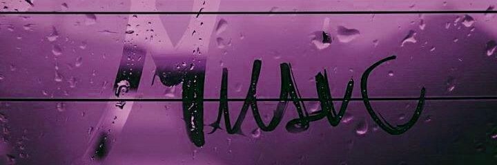 shelbournets's profile banner image