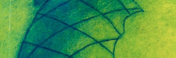 salomonderotti Profile Banner