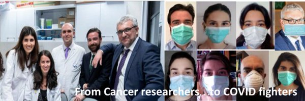 elenasefer Profile Banner