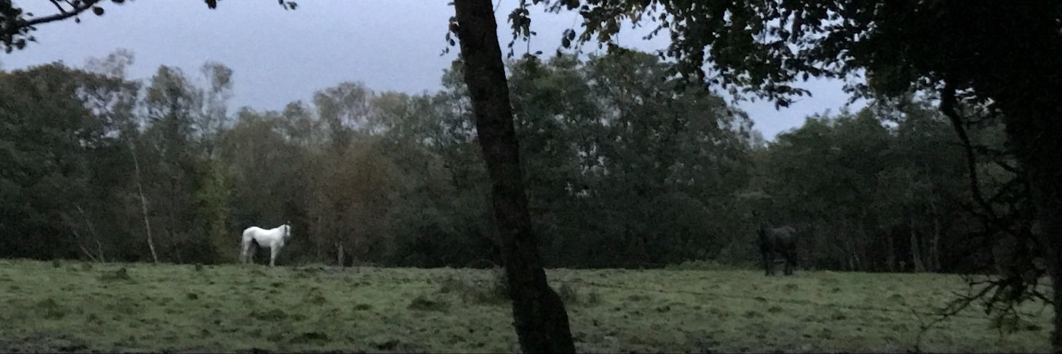 JTMcG3's profile banner image