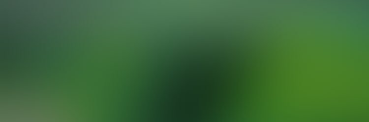 trajanca's profile banner image