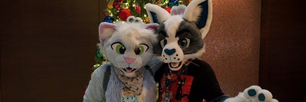 NuggetMew's profile banner image