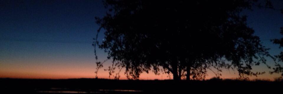 elsam71's profile banner image