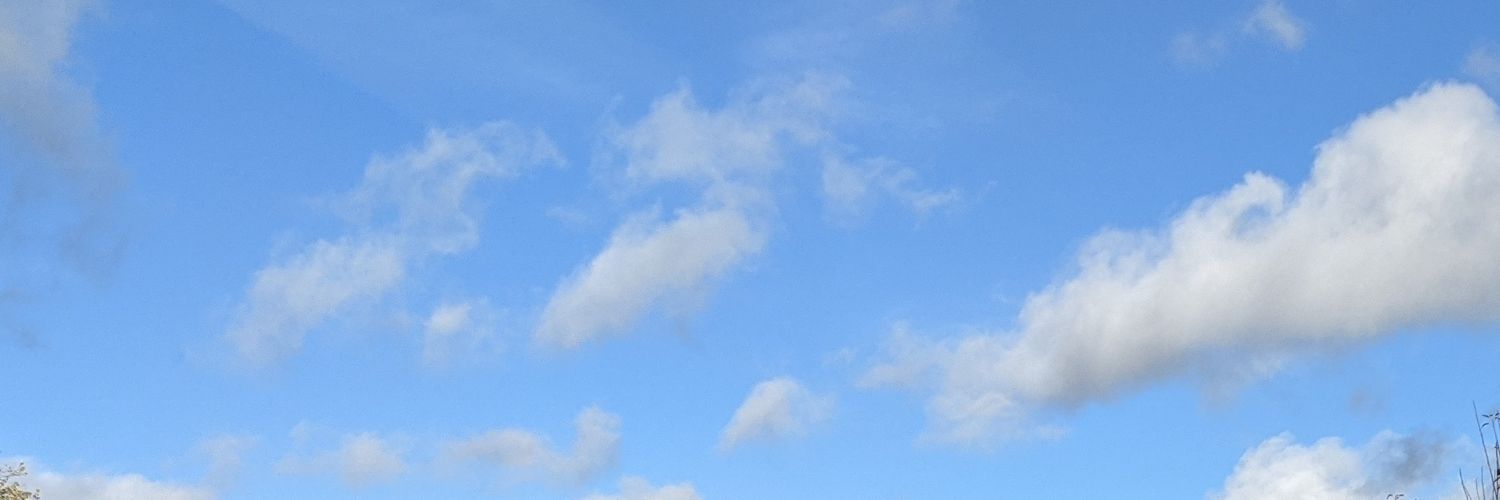 Maria_Staines's profile banner image