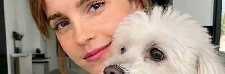 emmawatson22k's profile banner image