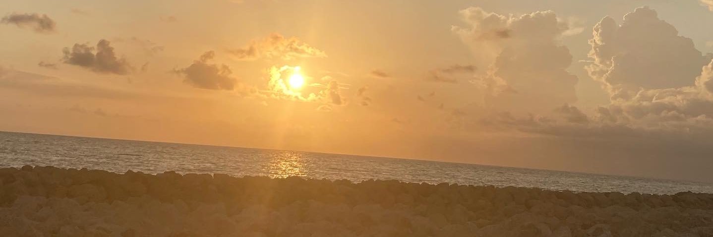 AlexaCeron16's profile banner image