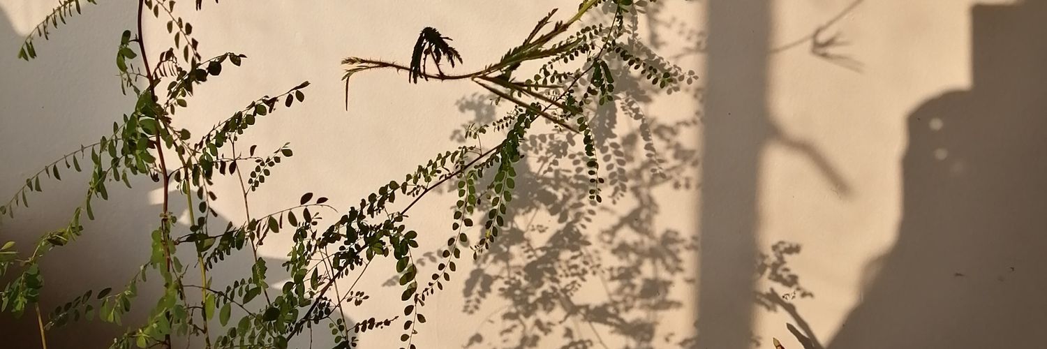 AngieGomezCa's profile banner image