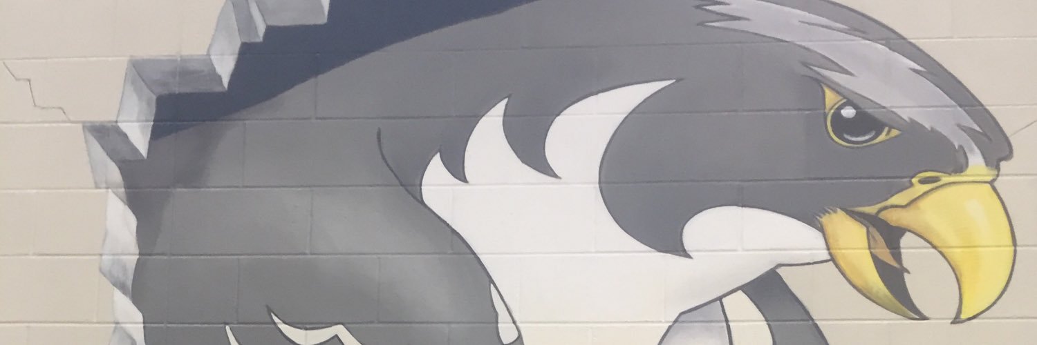 EpiphanyFalcons's profile banner image