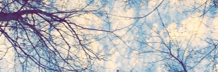 thomasmich04's profile banner image