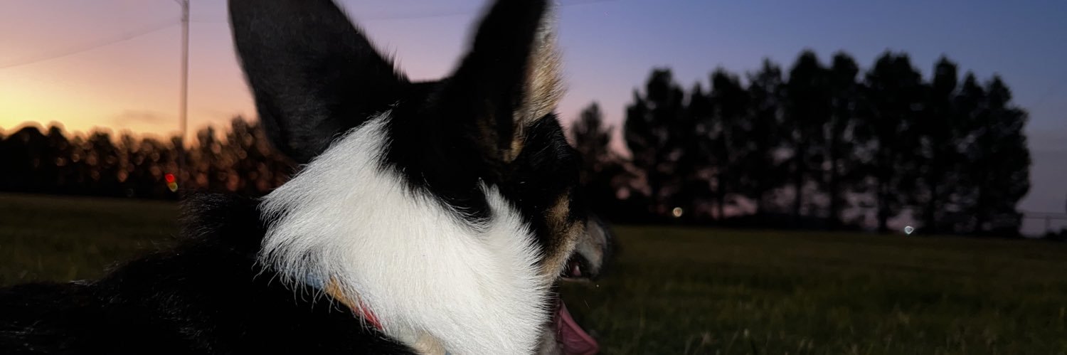 locohuncho's profile banner image