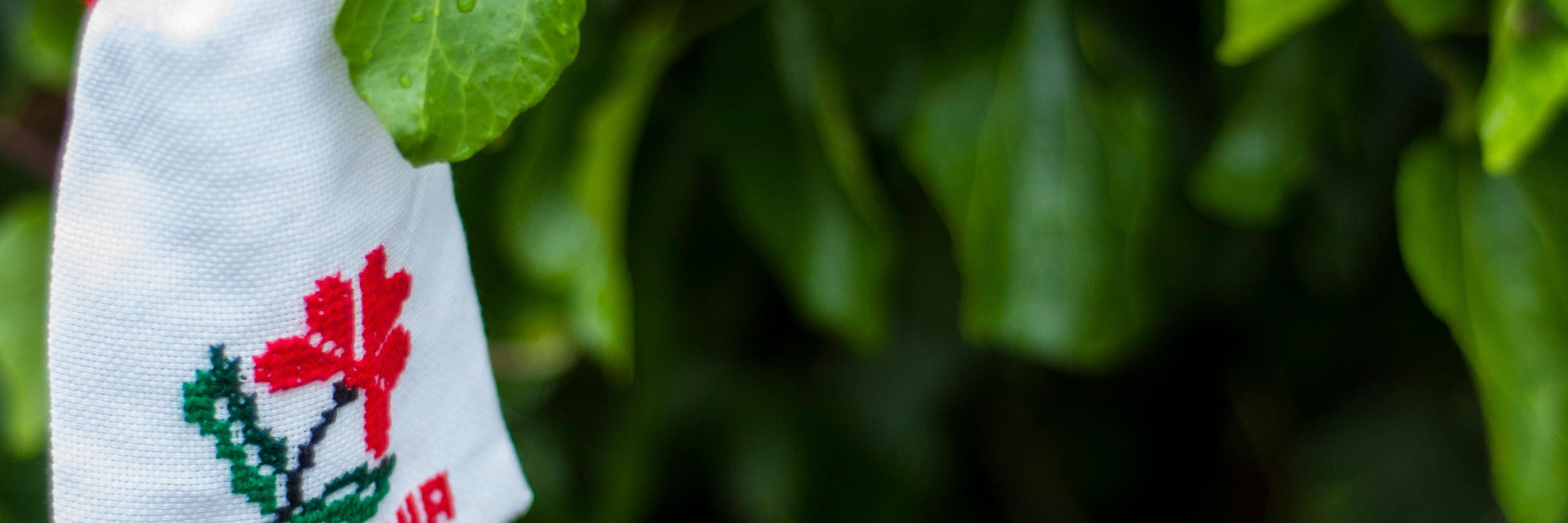 PositiveNewsRomania banner