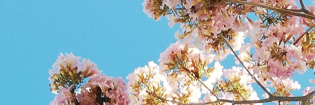 clara_cano28's profile banner image