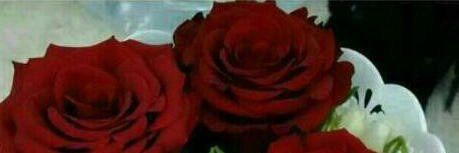 hanoo_2020's profile banner image
