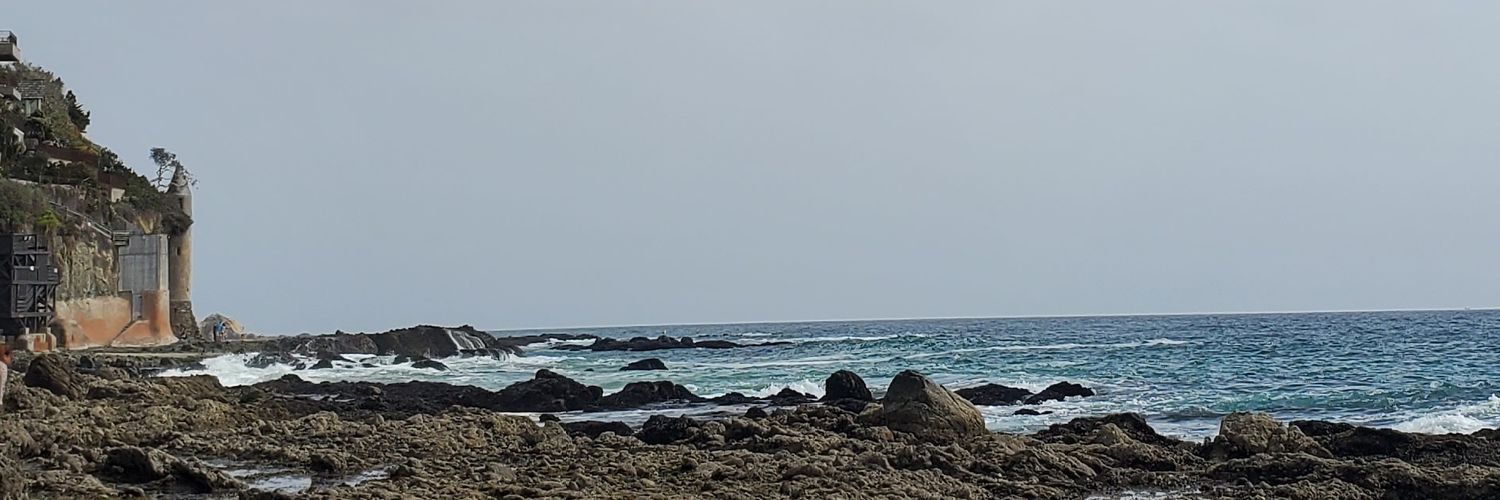 Plhead_Poetry's profile banner image