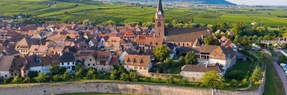 Bon sens first banner