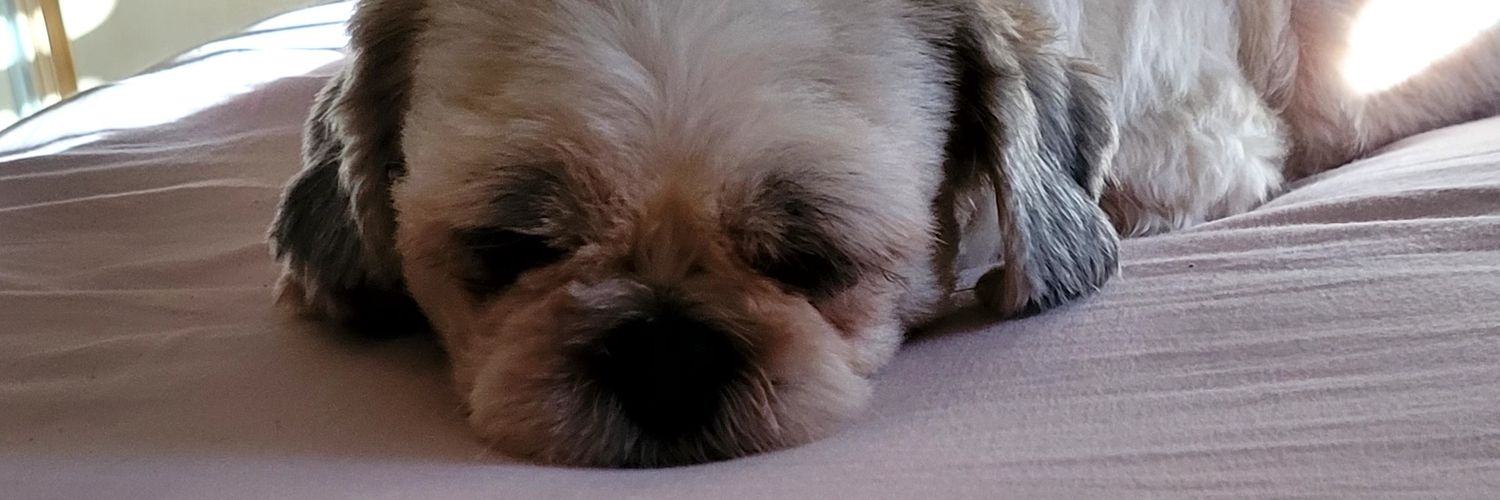 Nakerozan's profile banner image