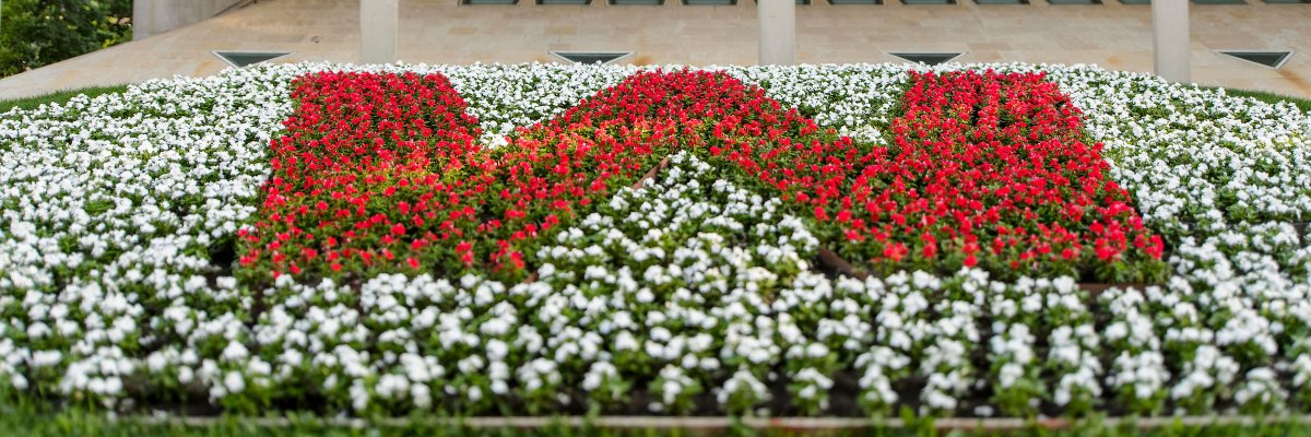 UW-Madison Families banner