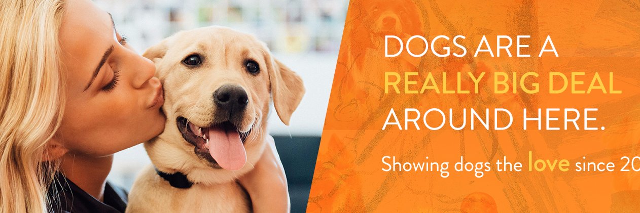 DogtopiaWaco's profile banner image