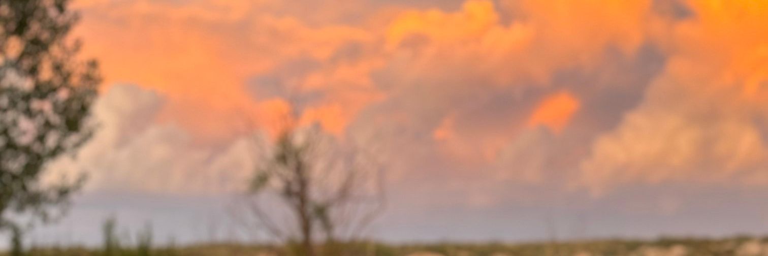 FlorBritos07's profile banner image