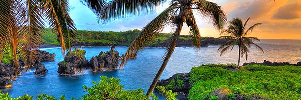 Coach_Milligan Profile Banner