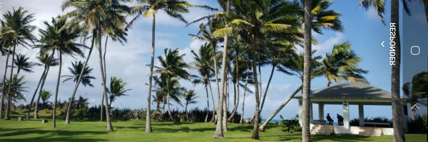 Denise Francina banner