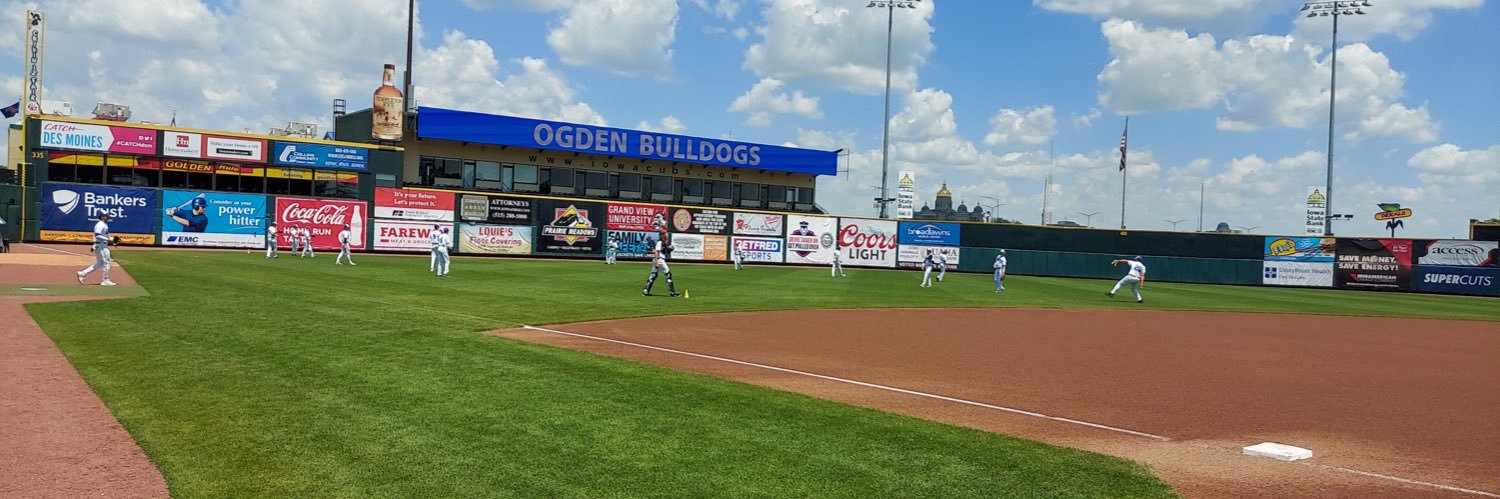 Ogden Bulldogs Baseball banner
