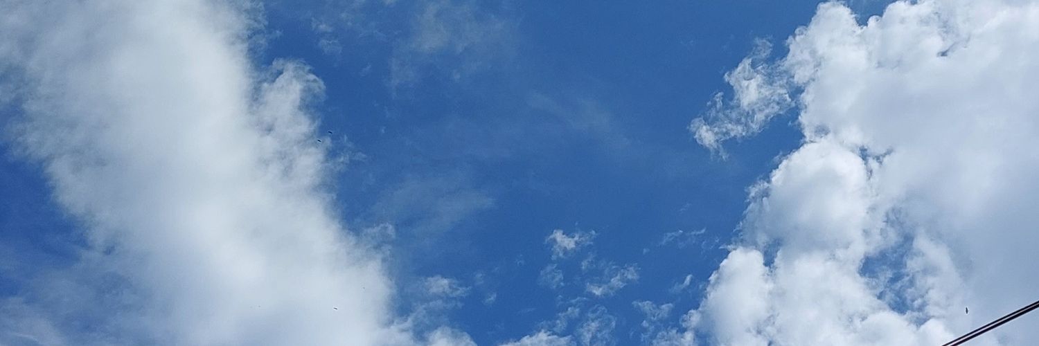 Bernardo banner